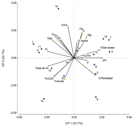 Gráfico, Gráfico radial

Descripción generada automáticamente