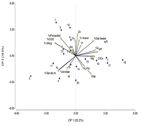 Gráfico, Gráfico de dispersión

Descripción generada automáticamente